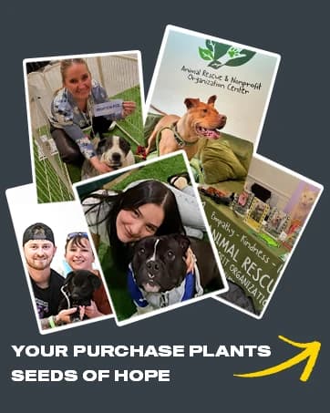 Dog Rope Toys for Aggressive Chewers — Chew Toys for Large Medium Dogs — collection imagery