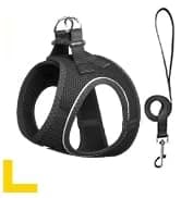 Dog Rope Toys for Aggressive Chewers — Chew Toys for Large Medium Dogs — collection imagery