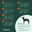 Recovery Suit for Dogs and Cats