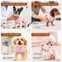 Recovery Suit for Dogs and Cats