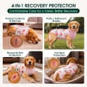 Recovery Suit for Dogs and Cats