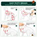 Recovery Suit for Dogs and Cats