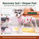 Recovery Suit for Dogs and Cats