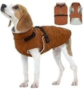 Dog Tuxedo Harness — Pet Harness No Pull for Small and Medium Dogs — collection imagery
