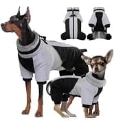 Dog Tuxedo Harness — Pet Harness No Pull for Small and Medium Dogs — collection imagery