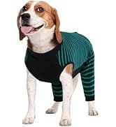 Dog Tuxedo Harness — Pet Harness No Pull for Small and Medium Dogs — collection imagery
