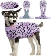 Dog Tuxedo Harness — Pet Harness No Pull for Small and Medium Dogs — collection imagery