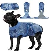 Dog Tuxedo Harness — Pet Harness No Pull for Small and Medium Dogs — collection imagery