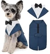 Dog Tuxedo Harness — Pet Harness No Pull for Small and Medium Dogs — collection imagery