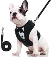 Dog Tuxedo Harness — Pet Harness No Pull for Small and Medium Dogs — collection imagery