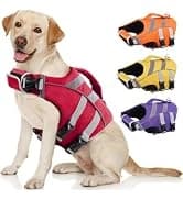 Dog Tuxedo Harness — Pet Harness No Pull for Small and Medium Dogs — collection imagery