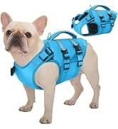 Dog Tuxedo Harness — Pet Harness No Pull for Small and Medium Dogs — collection imagery