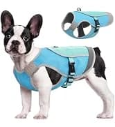 Dog Tuxedo Harness — Pet Harness No Pull for Small and Medium Dogs — collection imagery