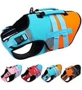 Dog Tuxedo Harness — Pet Harness No Pull for Small and Medium Dogs — collection imagery