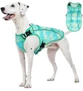 Dog Tuxedo Harness — Pet Harness No Pull for Small and Medium Dogs — collection imagery