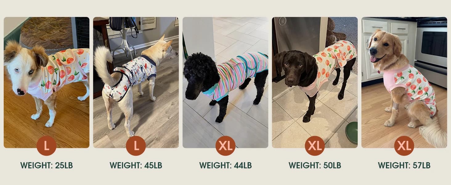 Recovery Suit for Dogs and Cats — product details
