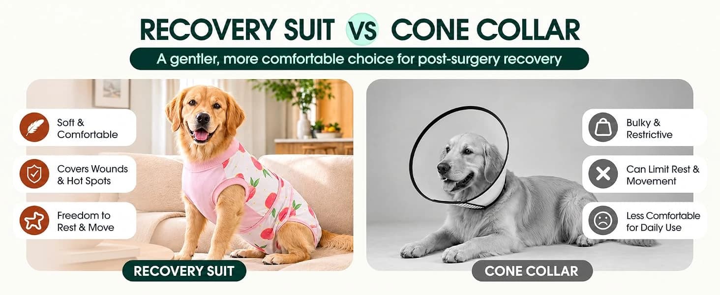 Recovery Suit for Dogs and Cats — A COMFORTABLE CONE ALTERNATIVE - Helps Discourage Licking and Scratching