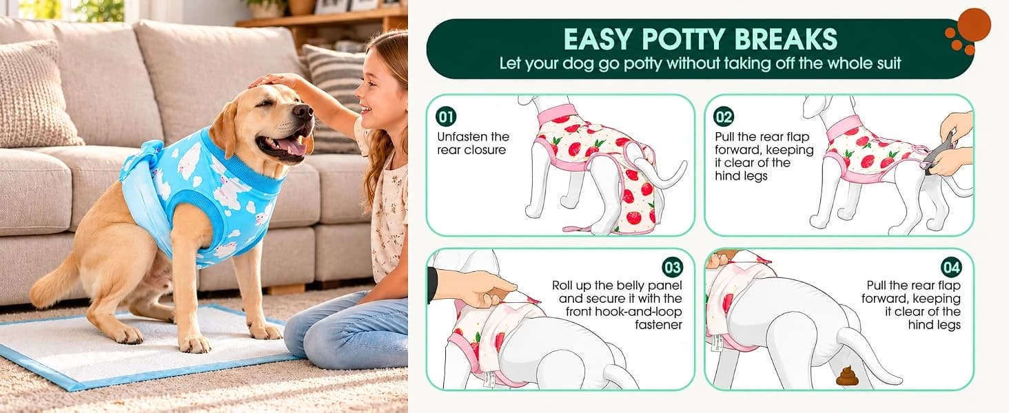 Recovery Suit for Dogs and Cats — collection imagery