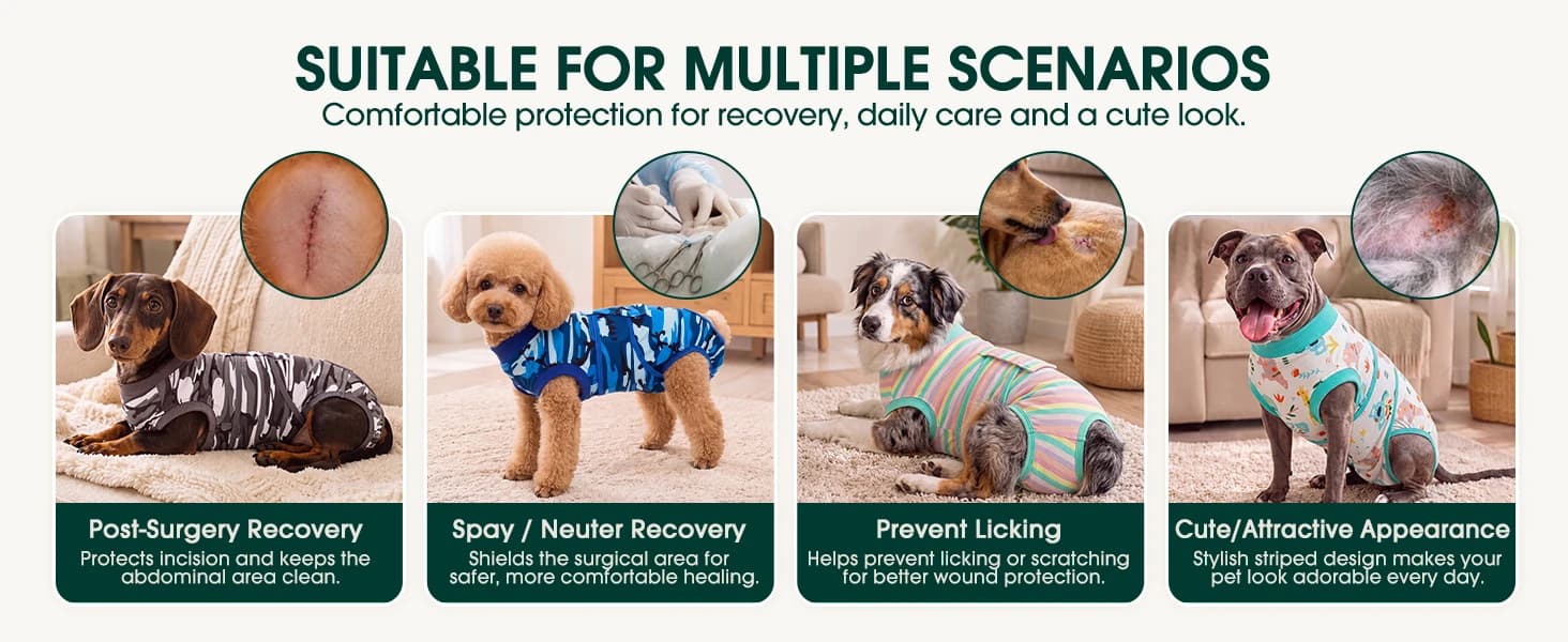 Recovery Suit for Dogs and Cats — Coverage Where Recovery Matters Most