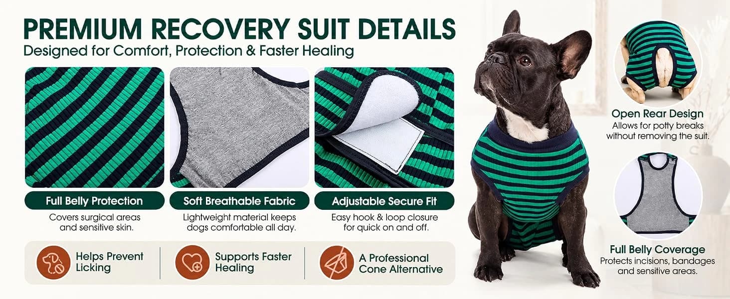 Recovery Suit for Dogs and Cats — product details