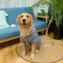 Dog Hoodie for Large Medium Small Dogs