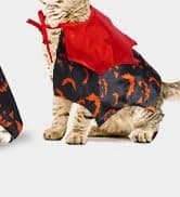 Small Dog Sweater — Fall Dog Sweater with Autumn Maple Leaf Pattern — collection imagery