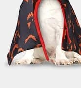 Small Dog Sweater — Fall Dog Sweater with Autumn Maple Leaf Pattern — collection imagery