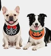 Small Dog Sweater — Fall Dog Sweater with Autumn Maple Leaf Pattern — collection imagery