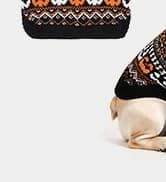 Small Dog Sweater — Fall Dog Sweater with Autumn Maple Leaf Pattern — collection imagery