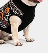 Small Dog Sweater — Fall Dog Sweater with Autumn Maple Leaf Pattern — collection imagery