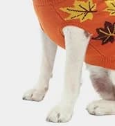 Small Dog Sweater — Fall Dog Sweater with Autumn Maple Leaf Pattern — collection imagery