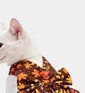 Small Dog Sweater — Fall Dog Sweater with Autumn Maple Leaf Pattern — collection imagery