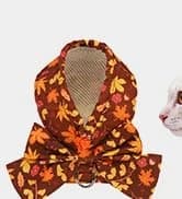 Small Dog Sweater — Fall Dog Sweater with Autumn Maple Leaf Pattern — collection imagery