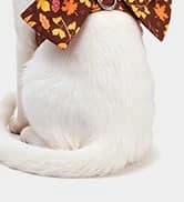 Small Dog Sweater — Fall Dog Sweater with Autumn Maple Leaf Pattern — collection imagery