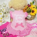4 Pieces Dog Dress Shirt Puppy Clothes for Small Girl Cute Doggie Dresses Summer Clothes Apparel for Dogs and