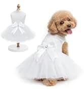 4 Pieces Dog Dress Shirt Puppy Clothes for Small Girl Cute Doggie Dresses Summer Clothes Apparel for Dogs and — collection imagery