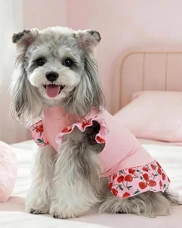 4 Pieces Dog Dress Shirt Puppy Clothes for Small Girl Cute Doggie Dresses Summer Clothes Apparel for Dogs and — collection imagery