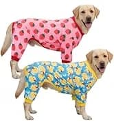 4 Pieces Dog Dress Shirt Puppy Clothes for Small Girl Cute Doggie Dresses Summer Clothes Apparel for Dogs and — collection imagery