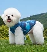 4 Pieces Dog Dress Shirt Puppy Clothes for Small Girl Cute Doggie Dresses Summer Clothes Apparel for Dogs and — collection imagery