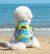 4 Pieces Dog Dress Shirt Puppy Clothes for Small Girl Cute Doggie Dresses Summer Clothes Apparel for Dogs and — collection imagery