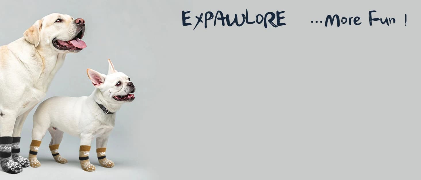 Anti Slip Dog Socks to Prevent Licking Paws — collection imagery