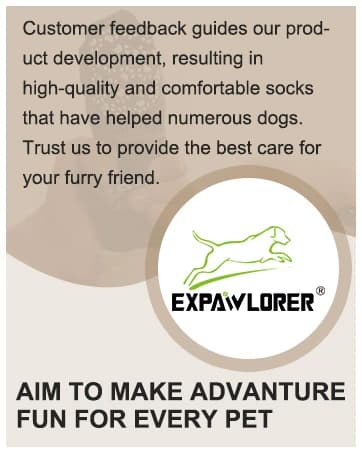 Anti Slip Dog Socks to Prevent Licking Paws — collection imagery