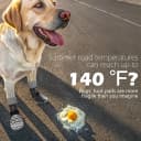 Anti Slip Dog Socks to Prevent Licking Paws for Hot Pavement