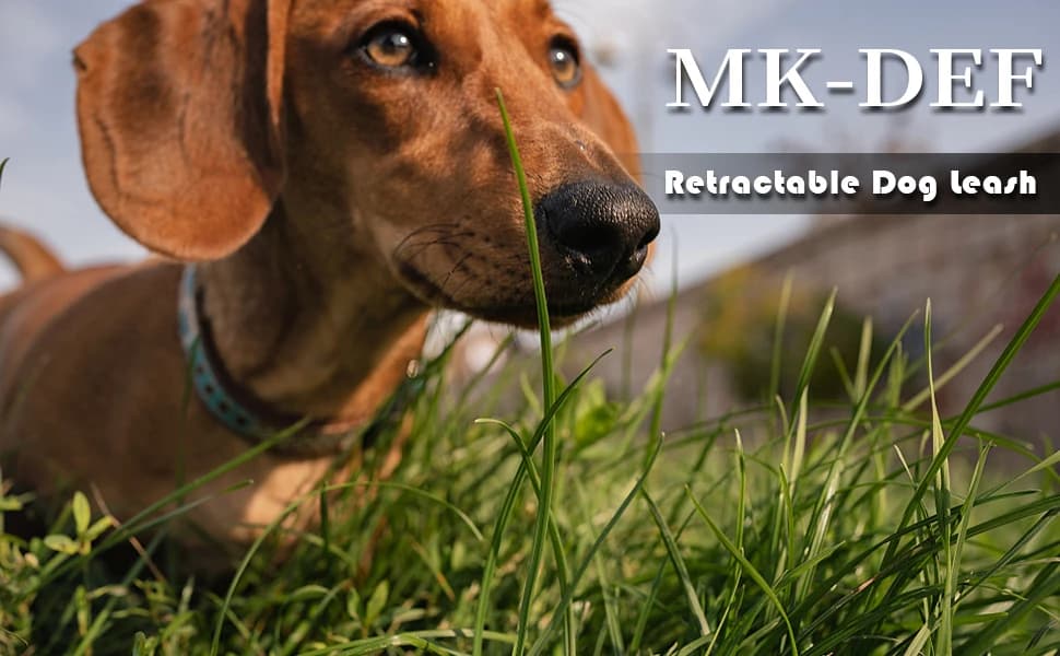 26Ft Retractable Dog Leash — Heavy Duty Great Leash for Dog up to 110 lbs — product details