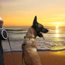 26Ft Retractable Dog Leash — Heavy Duty Great Leash for Dog up to 110 lbs