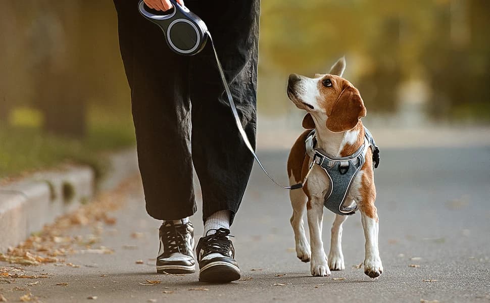 26Ft Retractable Dog Leash — Heavy Duty Great Leash for Dog up to 110 lbs — Use diagram
