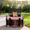 Cat Carrier Dog Carrier for Pets Up to 16 Lbs