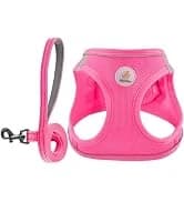 Cat Carrier Dog Carrier for Pets Up to 16 Lbs — collection imagery