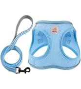 Cat Carrier Dog Carrier for Pets Up to 16 Lbs — collection imagery