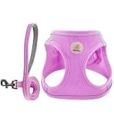 Cat Carrier Dog Carrier for Pets Up to 16 Lbs — collection imagery